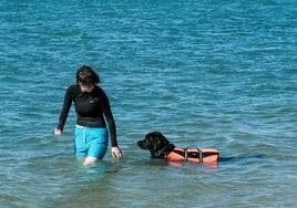 El Ayuntamiento de Barbate estudia la viabilidad de una playa canina