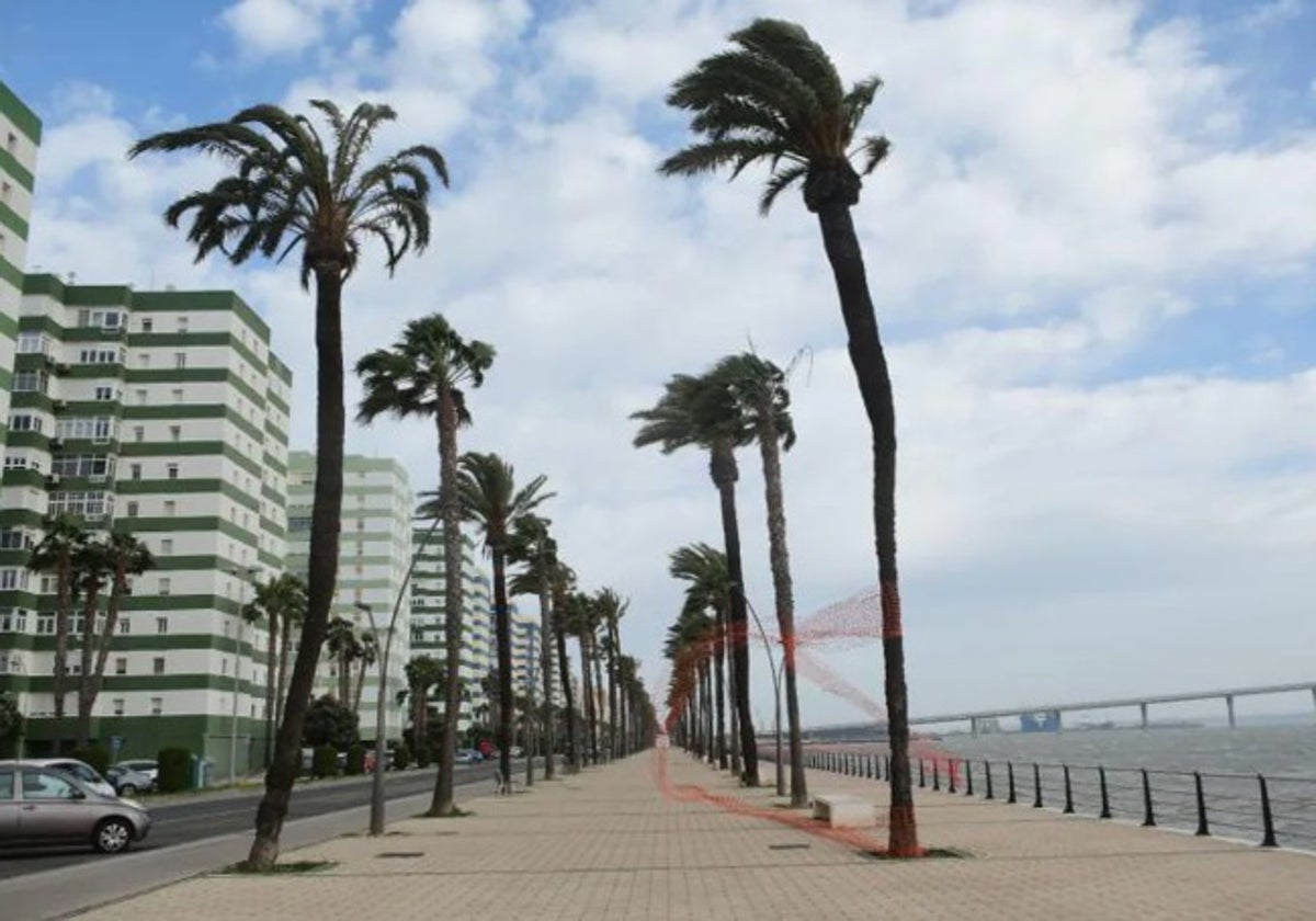 Viento fuerte de levante en Cádiz.