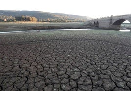 Colegio de Médicos y Diputación celebran este miércoles una mesa sobre las evidencias en torno a cambio climático y salud