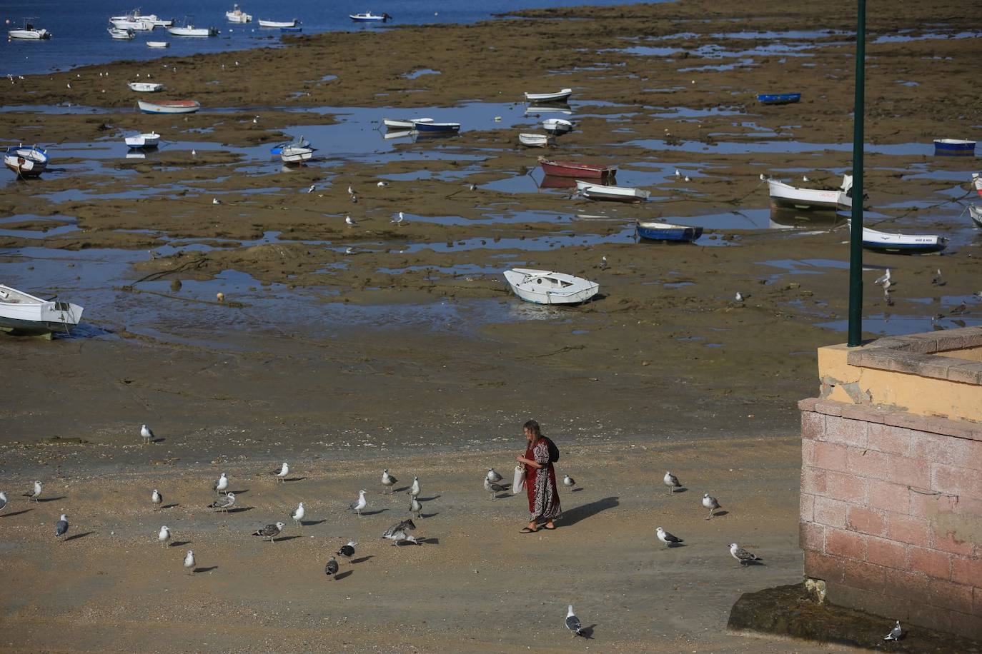 Fotos: Grandes mareas en Cádiz en el final del verano 2024