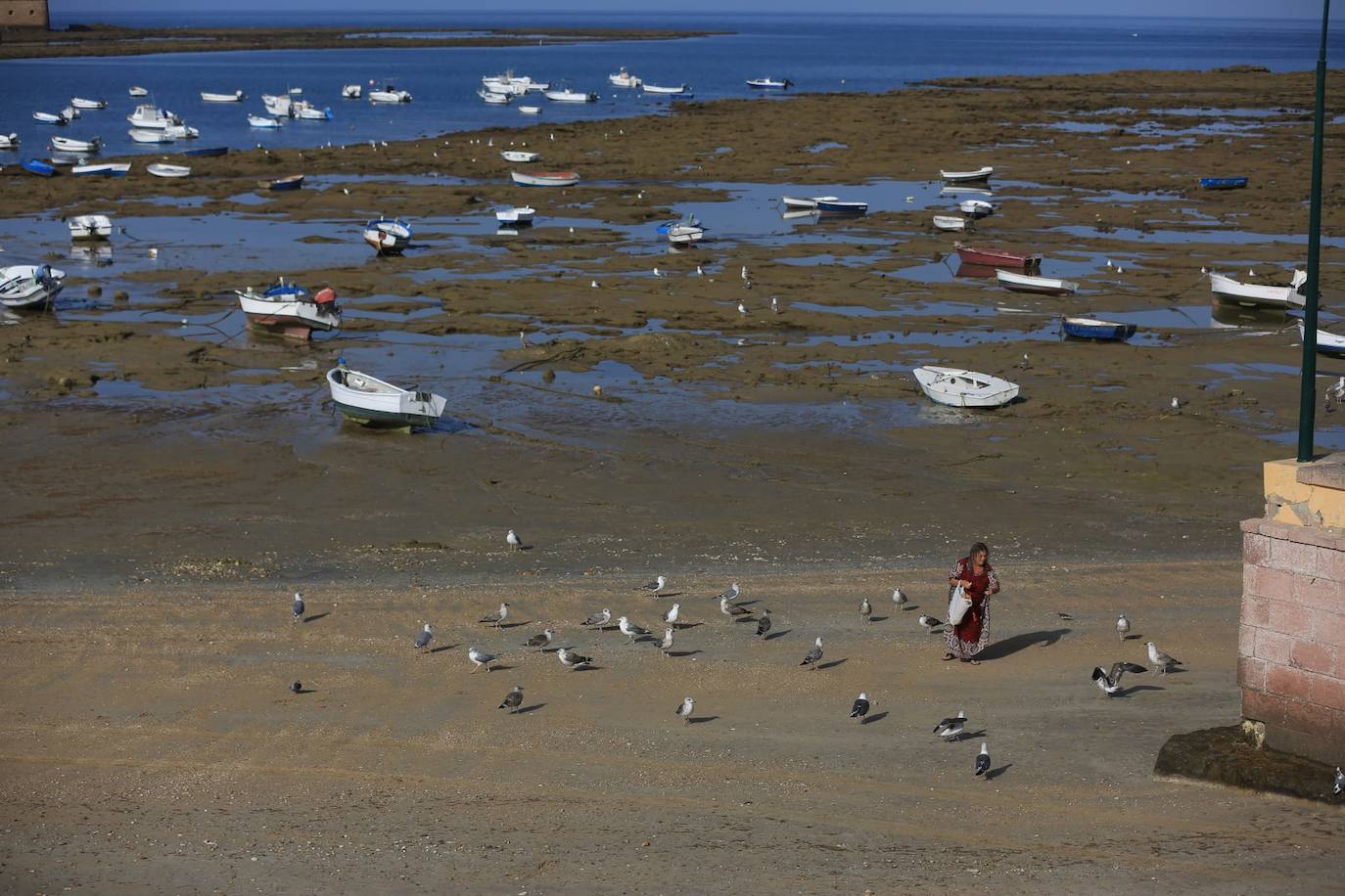 Fotos: Grandes mareas en Cádiz en el final del verano 2024