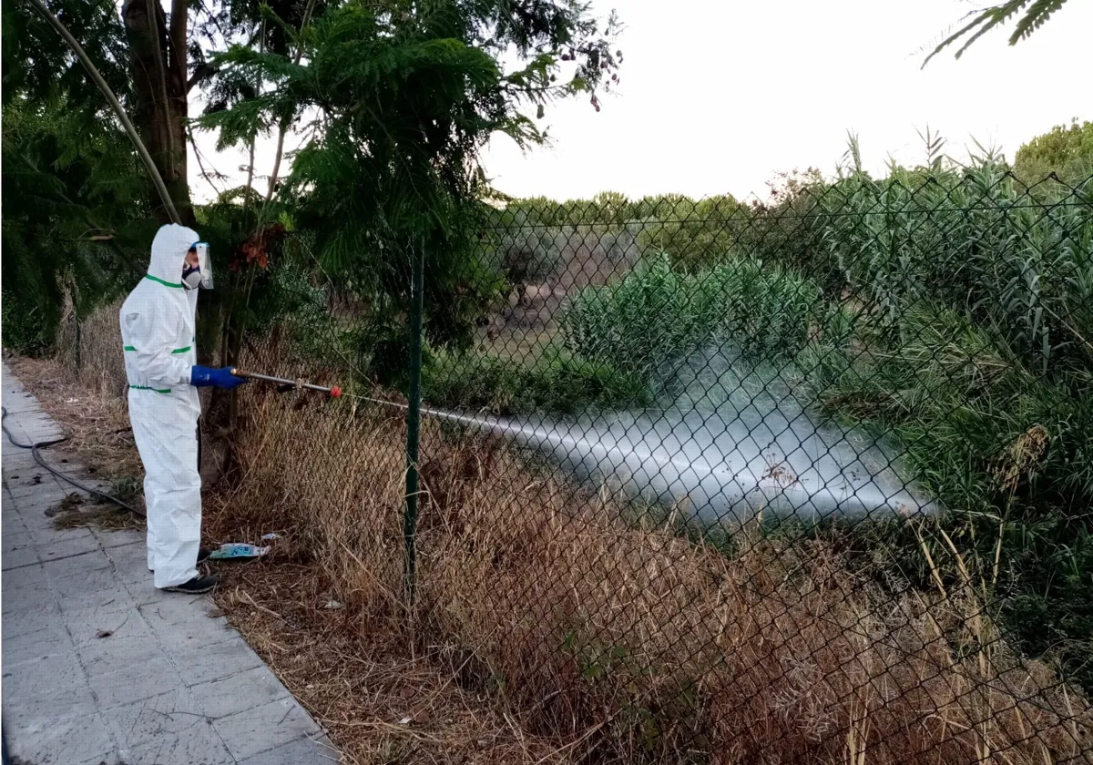 Fumigaciones de contención