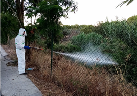 Un vecino de Vejer con el Virus del Nilo, primer contagiado en Cádiz