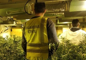 Absuelto de cultivar marihuana en su casa de Sanlúcar porque no vivía solo