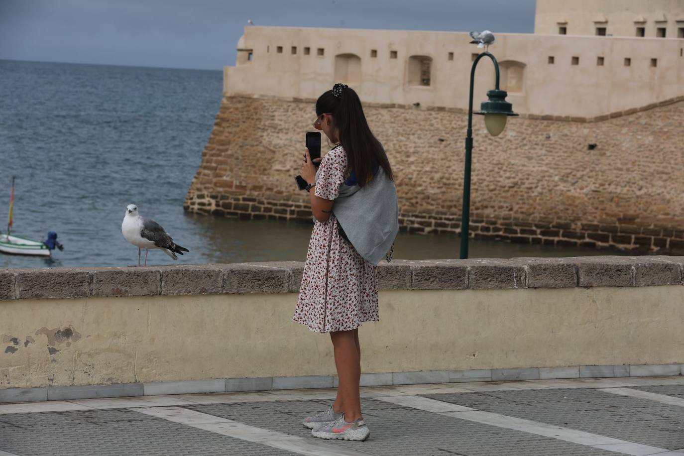 Fotos: Más de 8.000 turistas han llegado este jueves al puerto de Cádiz