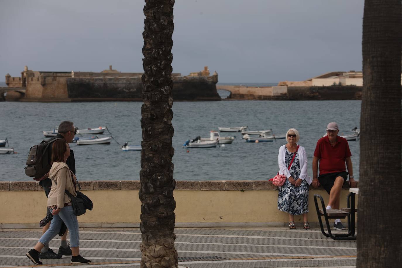 Fotos: Más de 8.000 turistas han llegado este jueves al puerto de Cádiz