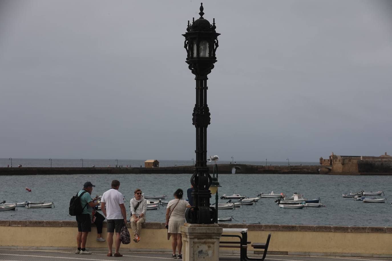 Fotos: Más de 8.000 turistas han llegado este jueves al puerto de Cádiz