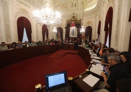 El Pleno aprueba duplicar el presupuesto en el mantenimiento urbano