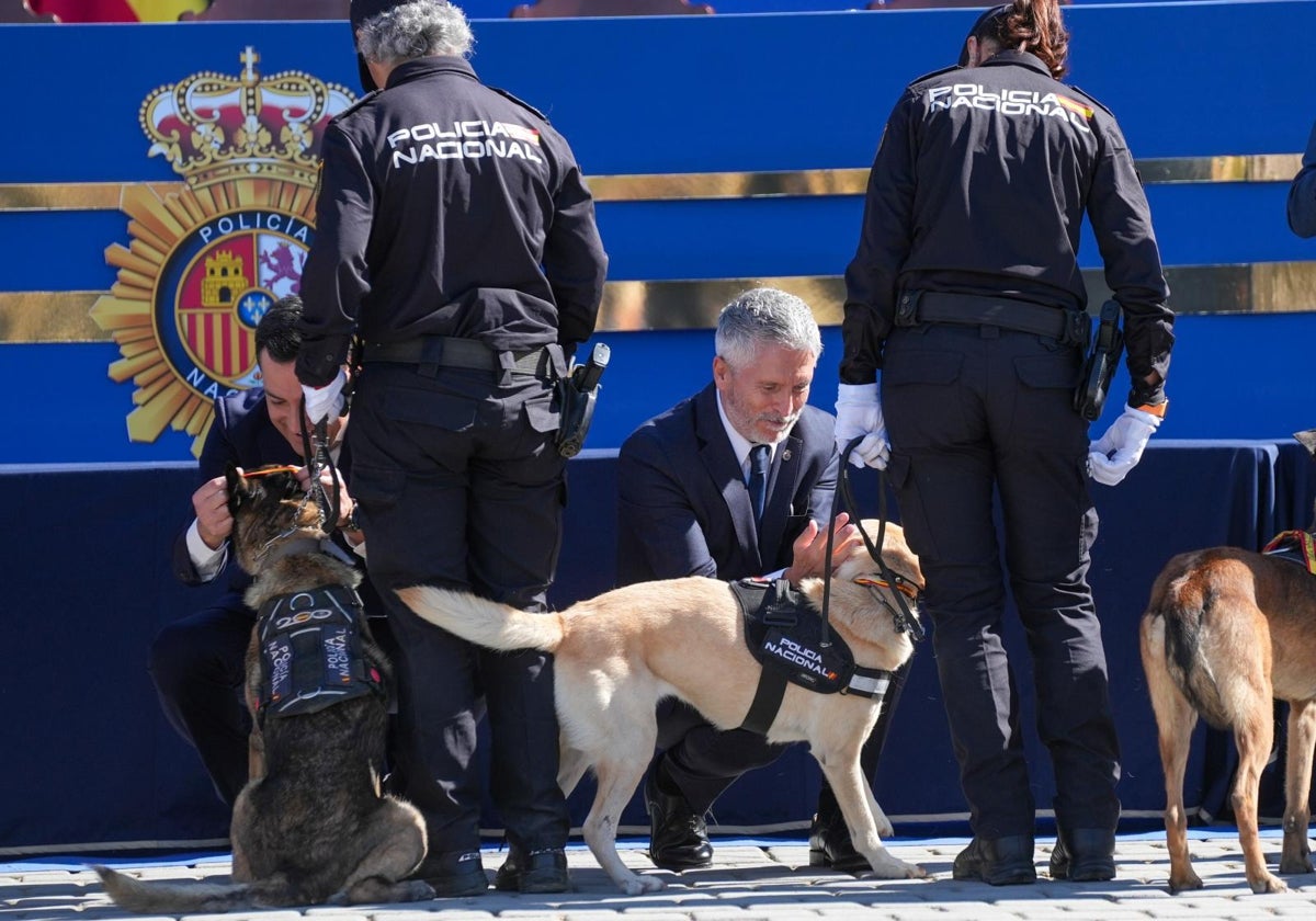 Marlaska, en la celebración del día de la Policía