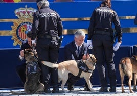 Marlaska dice que el caso de Barbate no concluirá «hasta que el último responsable» pase ante el juez