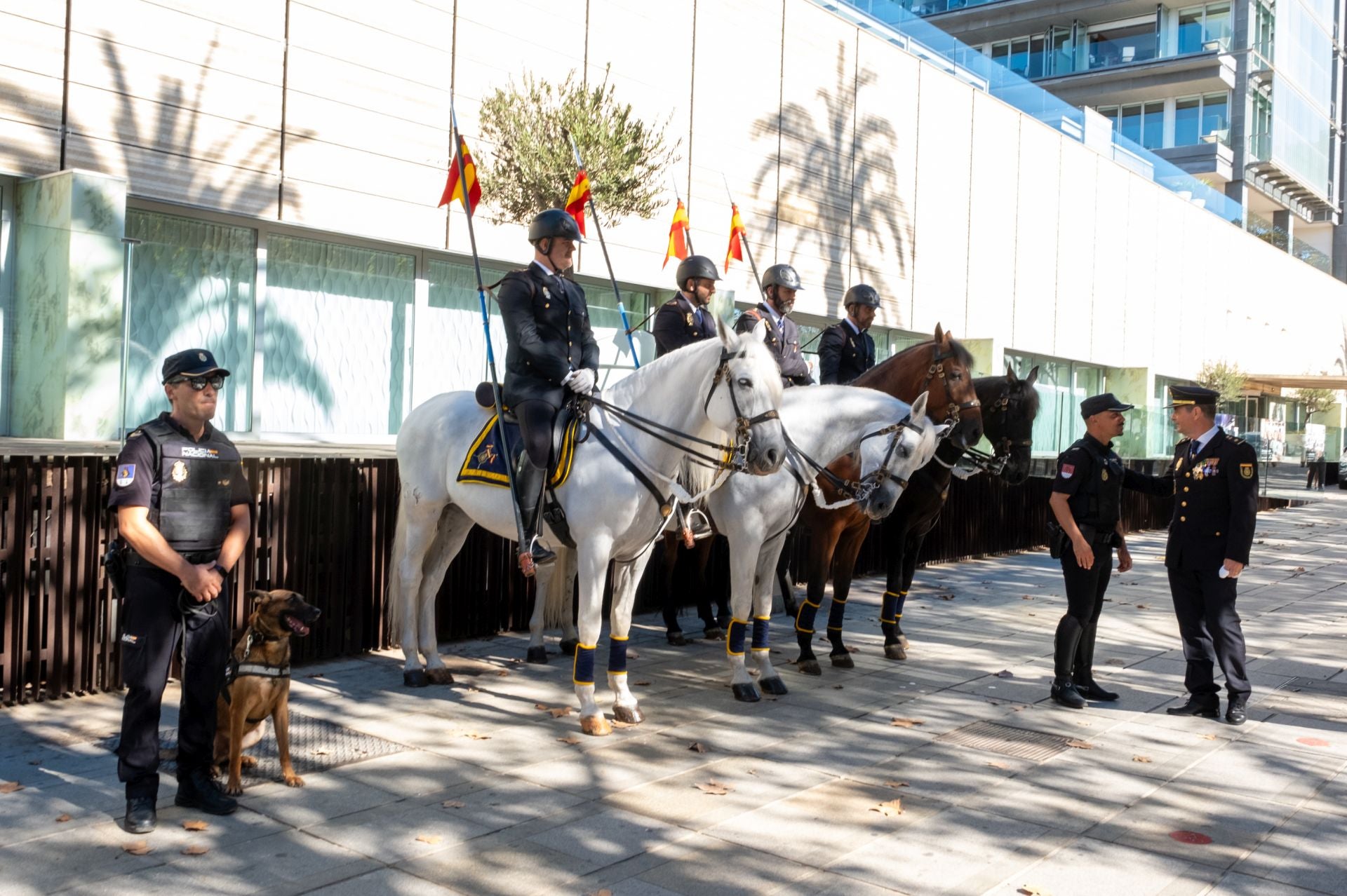 Fotos: Día de la Policía en Cádiz por los Santos Ángeles Custodios