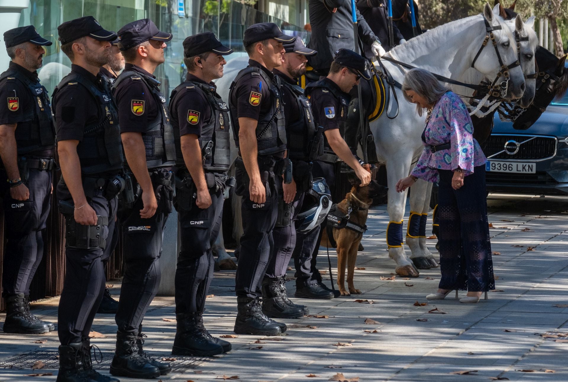 Fotos: Día de la Policía en Cádiz por los Santos Ángeles Custodios