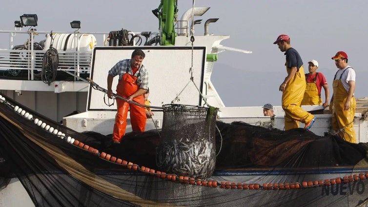 El futuro de casi medio centenar de barcos  de la Bahía de Cádiz, en el aire