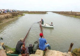 Puesta en valor de los esteros de la Bahía de Cádiz en Alicante