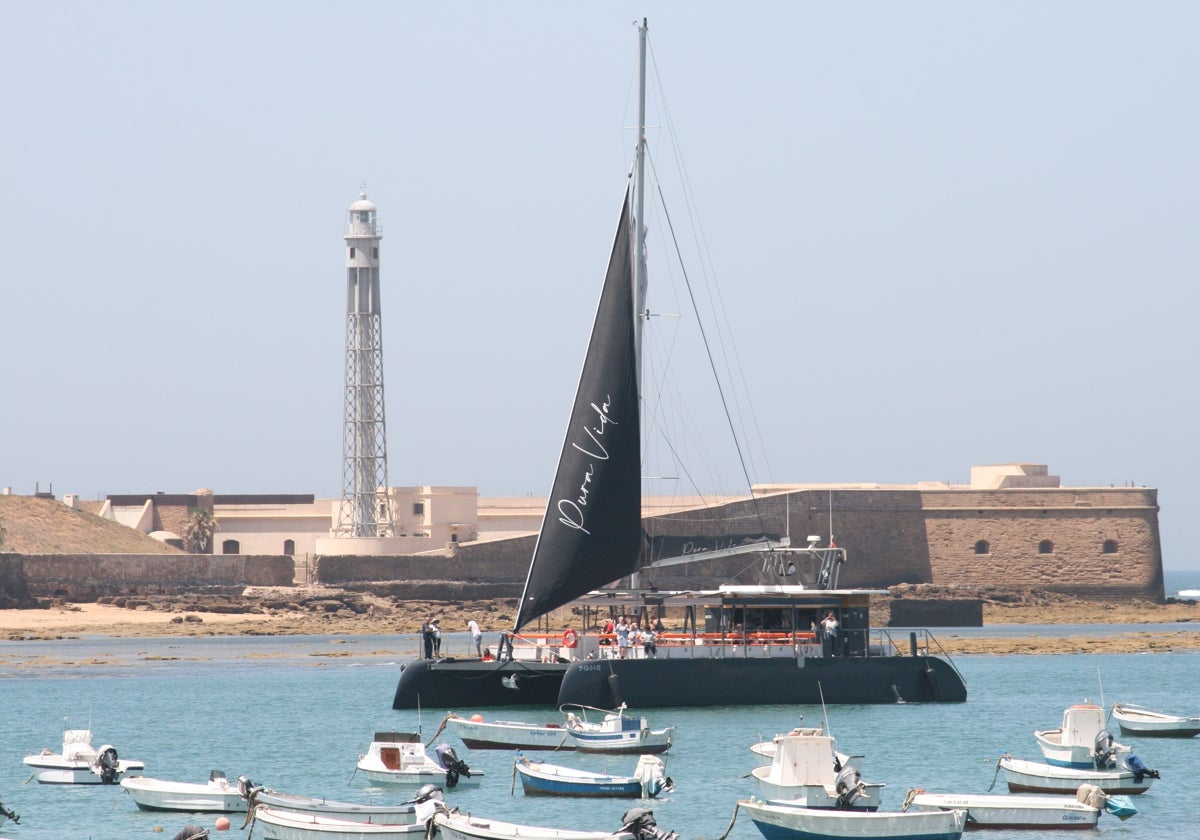 El Pura Vida Catamarán, este verano por la playa de La Caleta