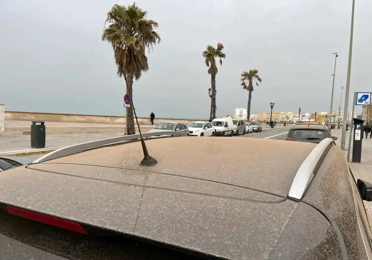 Calima sobre vehículos en la avenida Campo del Sur de la capital gaditana