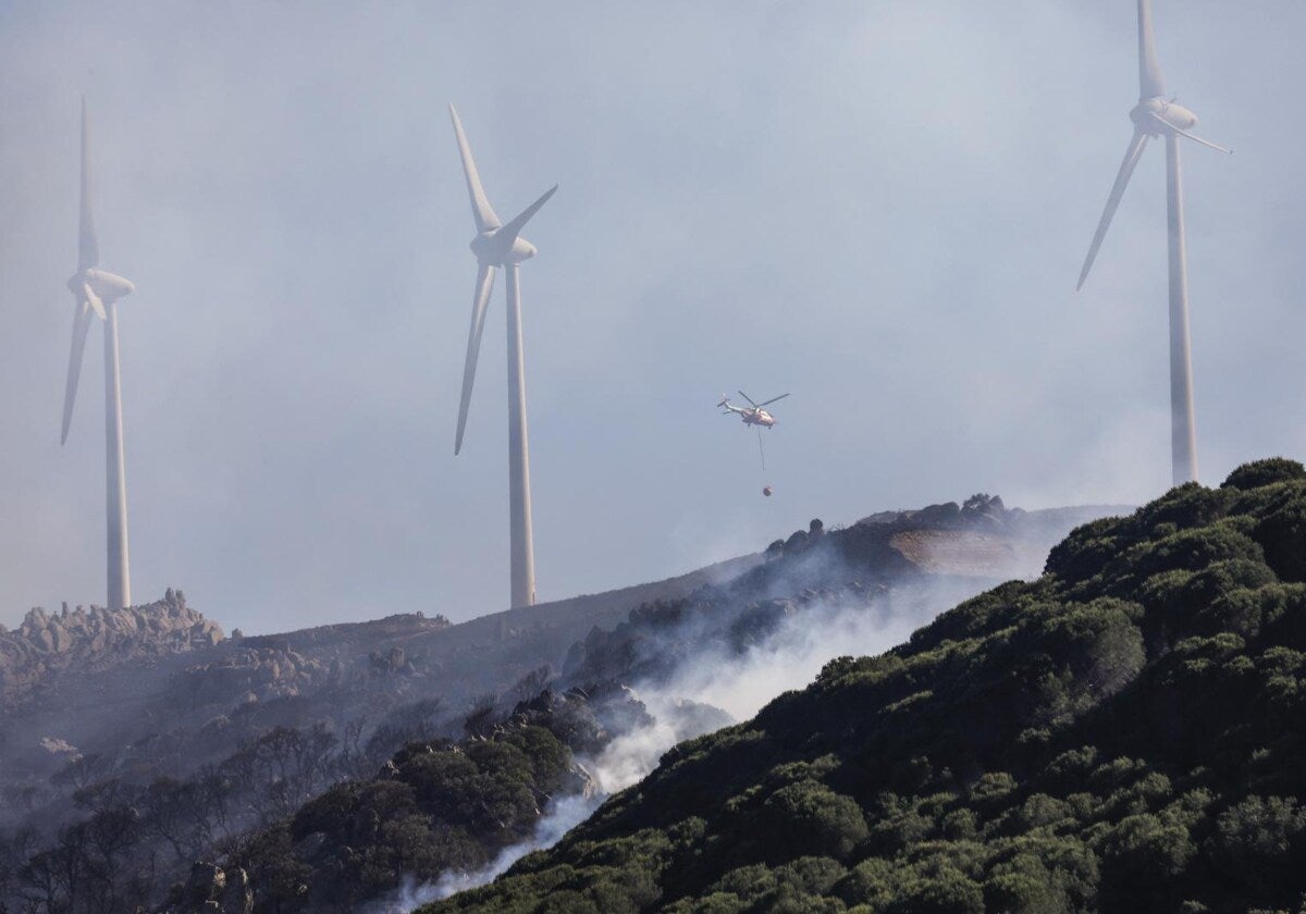 Desciende la media de hectáreas quemadas en temporada de alto riesgo de incendios