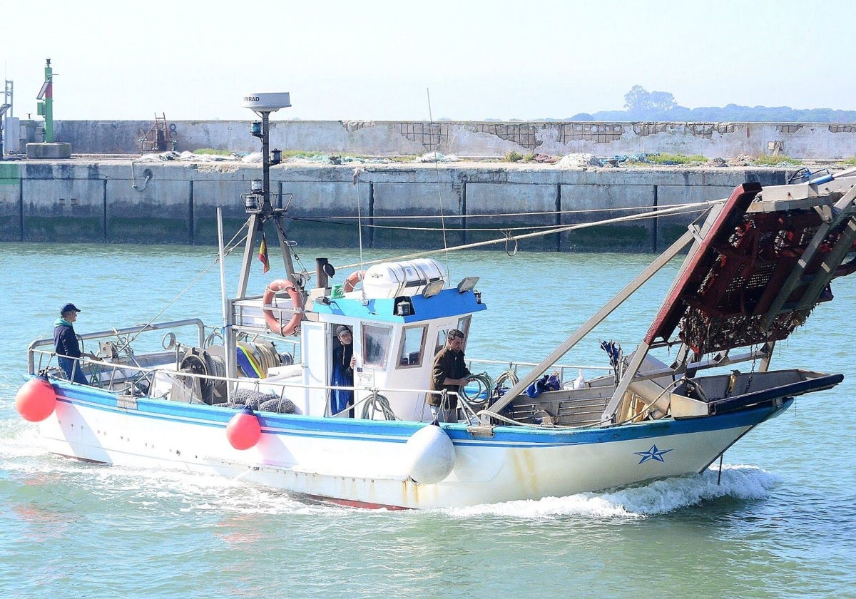 La Junta y sector pesquero acuerdan el cierre temporal de la pesquería de la chirla para su recuperación en el Golfo de Cádiz