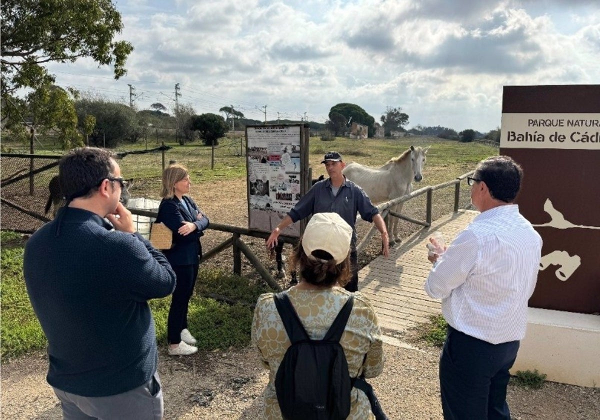 La Agencia Ejecutiva Europea de Clima conoce el impacto del proyecto Rewrite en la Bahía