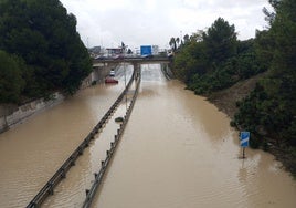 Fotos: la provincia de Cádiz, inundada