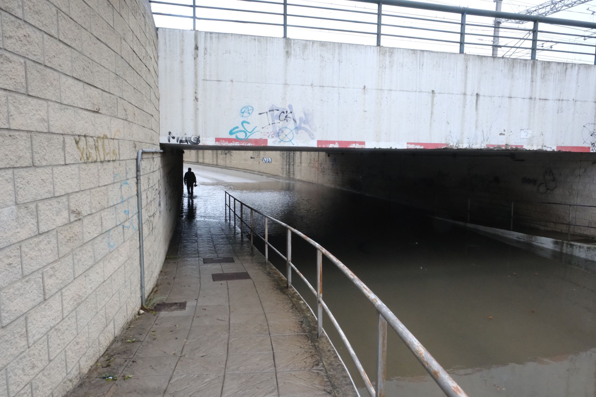 Fotos: la provincia de Cádiz, inundada