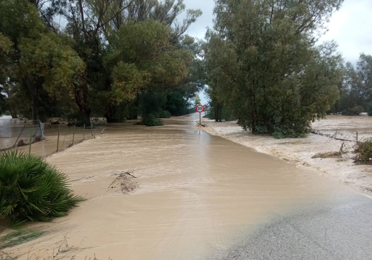 Se desborda el río Álamo en Benalup