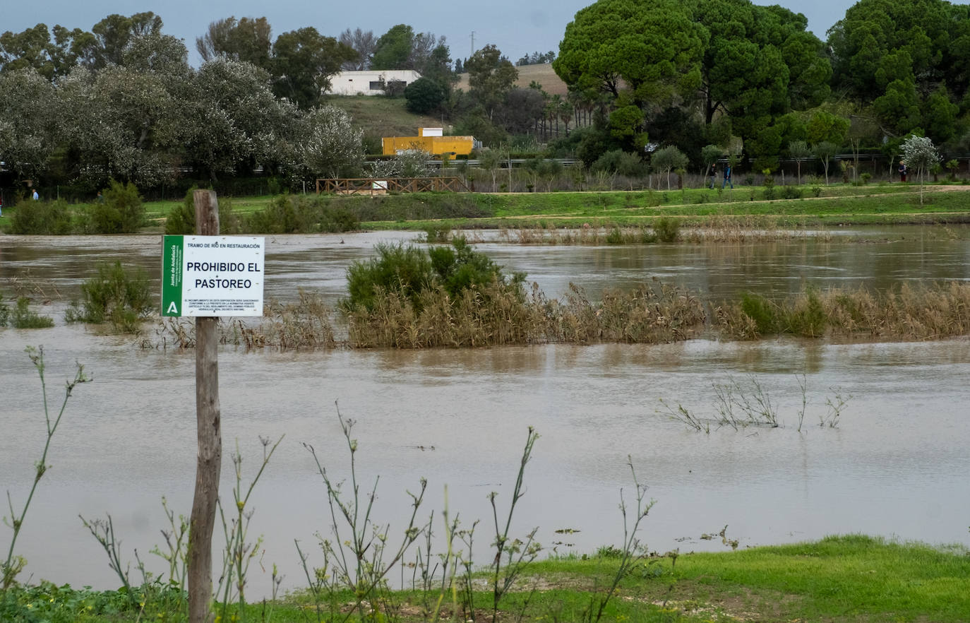 Fotos: Jerez trata de recuperar la normalidad después de las lluvias y la crecida del Guadalete