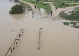 Fotos: Jerez trata de recuperar la normalidad después de las lluvias y la crecida del Guadalete