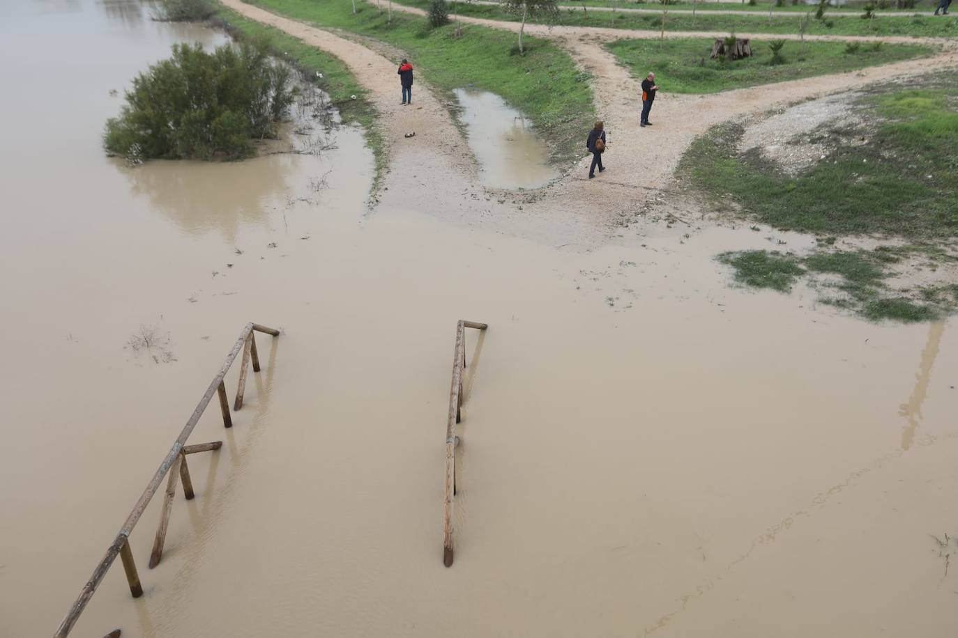 Fotos: Jerez trata de recuperar la normalidad después de las lluvias y la crecida del Guadalete