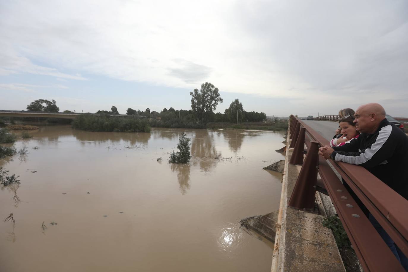 Fotos: Jerez trata de recuperar la normalidad después de las lluvias y la crecida del Guadalete