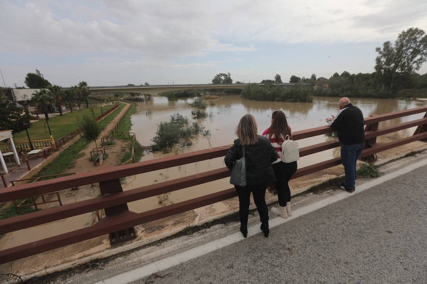 Fotos: Jerez trata de recuperar la normalidad después de las lluvias y la crecida del Guadalete