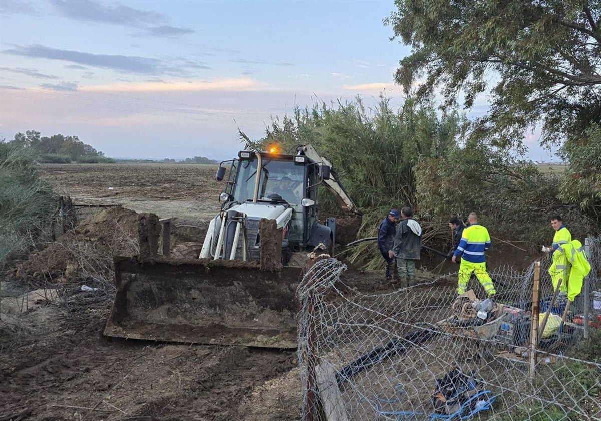 Operarios durante las obras de sustitución