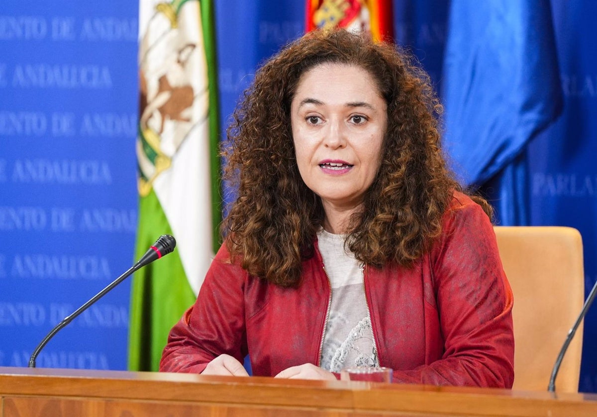 La portavoz del Grupo Por Andalucía, Inmaculada Nieto, durante una ronda de ruedas de prensa.