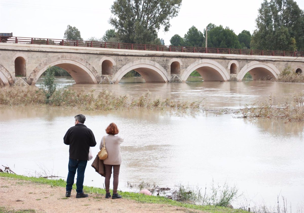 Unas jornadas reflexionarán sobre la restauración del río Guadalete con debates y actividades en su entorno