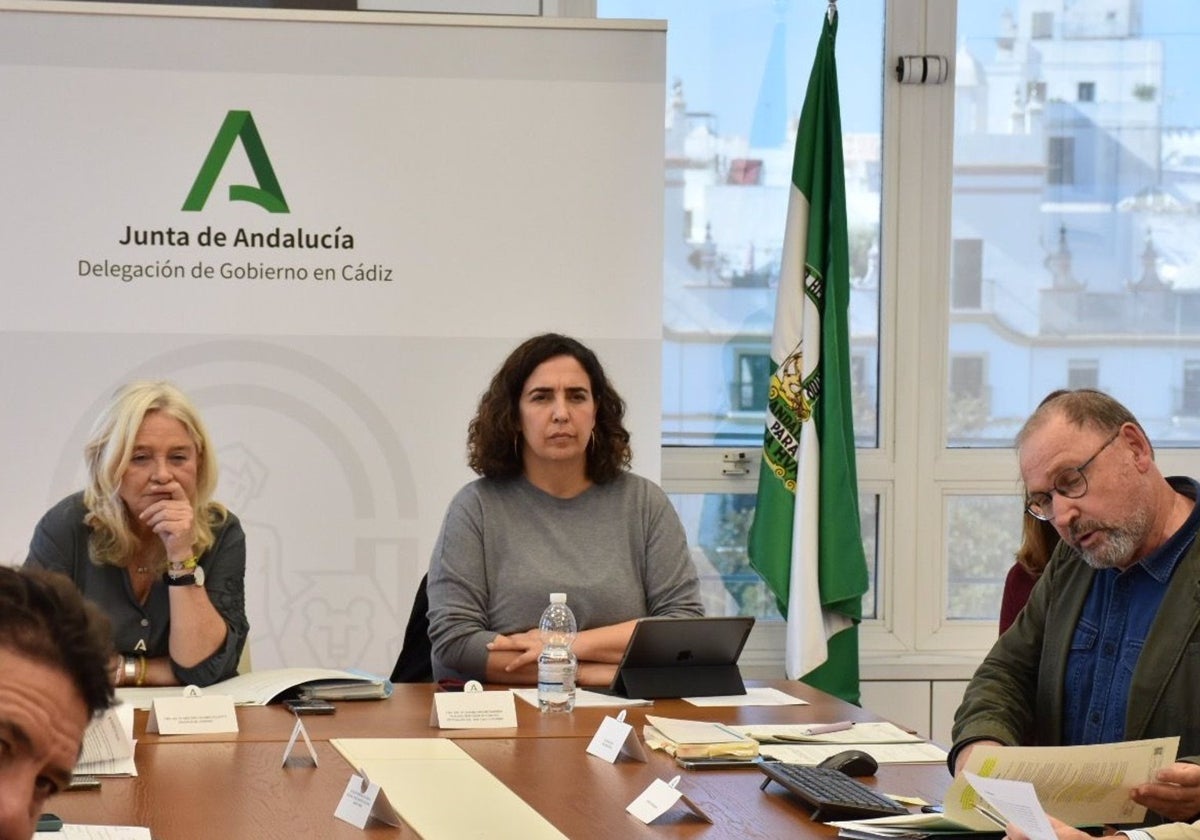 Mercedes Colombo y Carmen Sánchez en la Comisión de Ordenación Territorial de Cádiz..