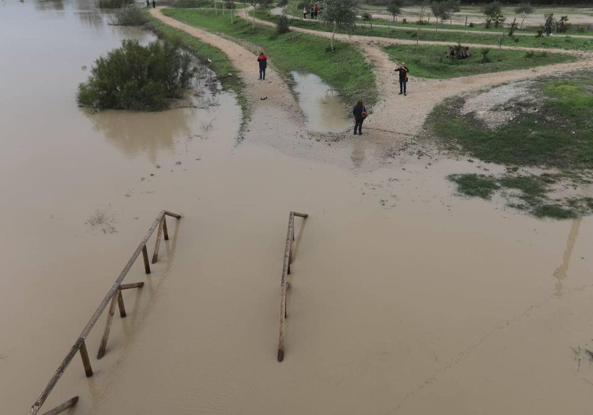 Jerez pedirá al Gobierno la declaración de zona afectada gravemente por la DANA