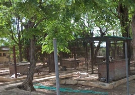 La Mancomunidad de la Bahía inicia el expediente de resolución del contrato del servicio del centro de acogida de animales