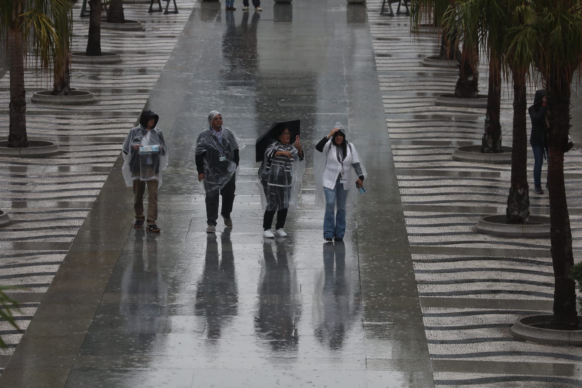 Fotos: La provincia de Cádiz sigue en aviso naranja por la DANA