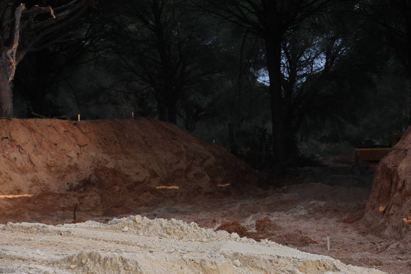 Fotos: Los efectos de la DANA en Cádiz