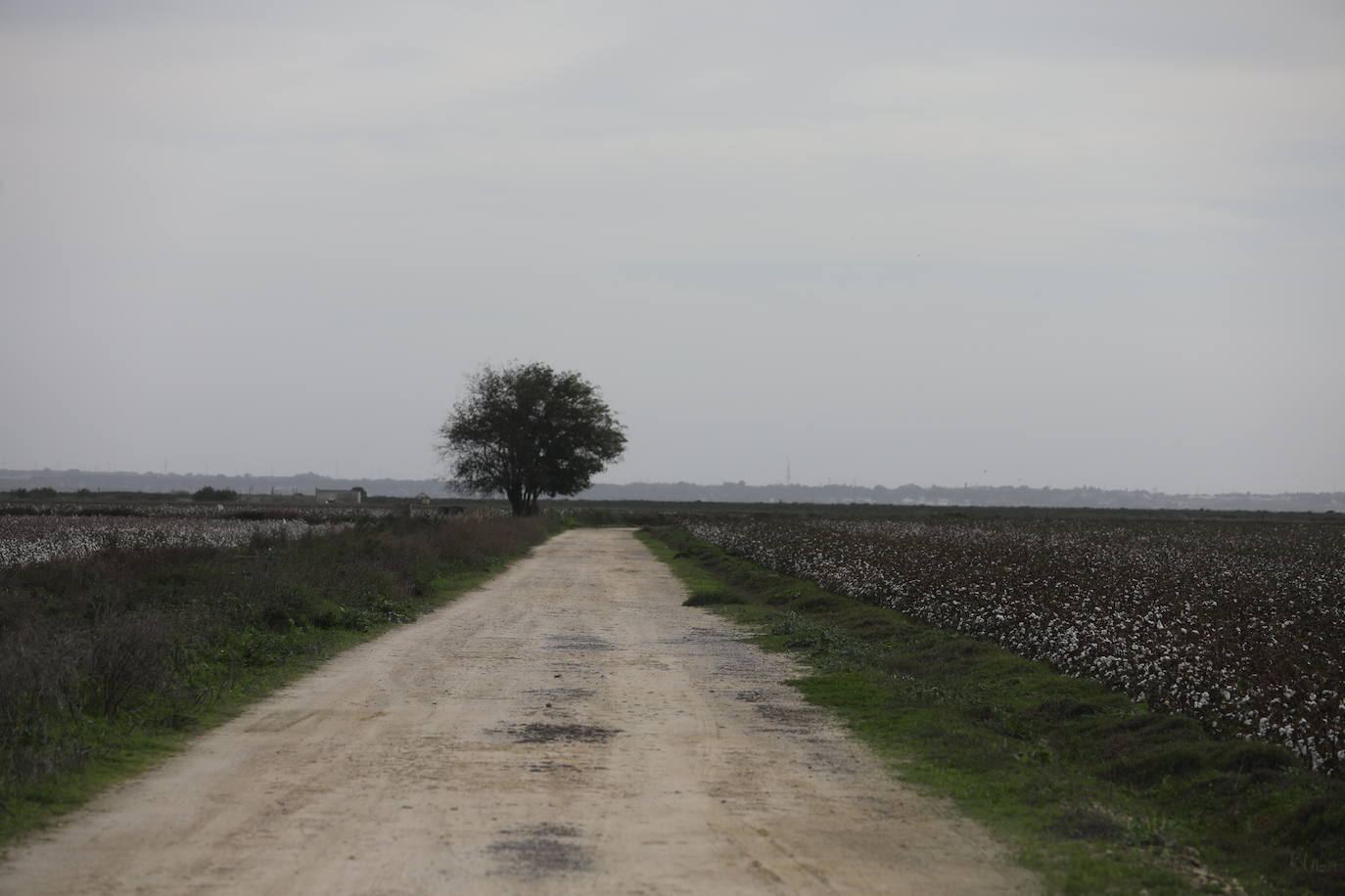 Fotos: Los efectos de la DANA en Cádiz