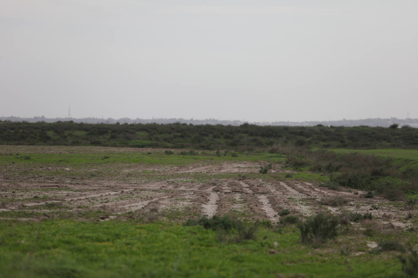 Fotos: Los efectos de la DANA en Cádiz