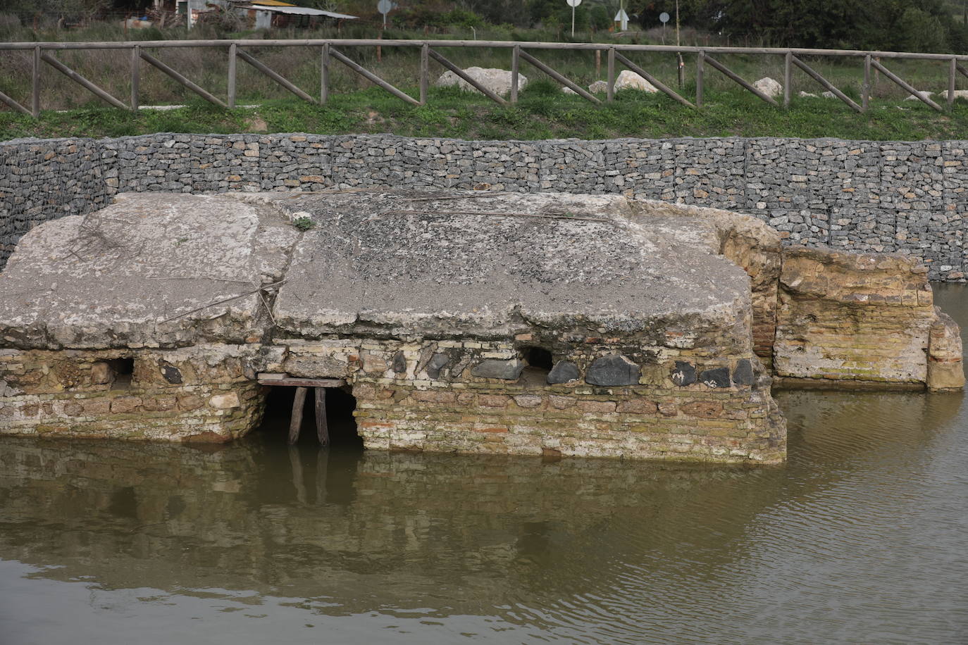 Fotos: Los efectos de la DANA en Cádiz