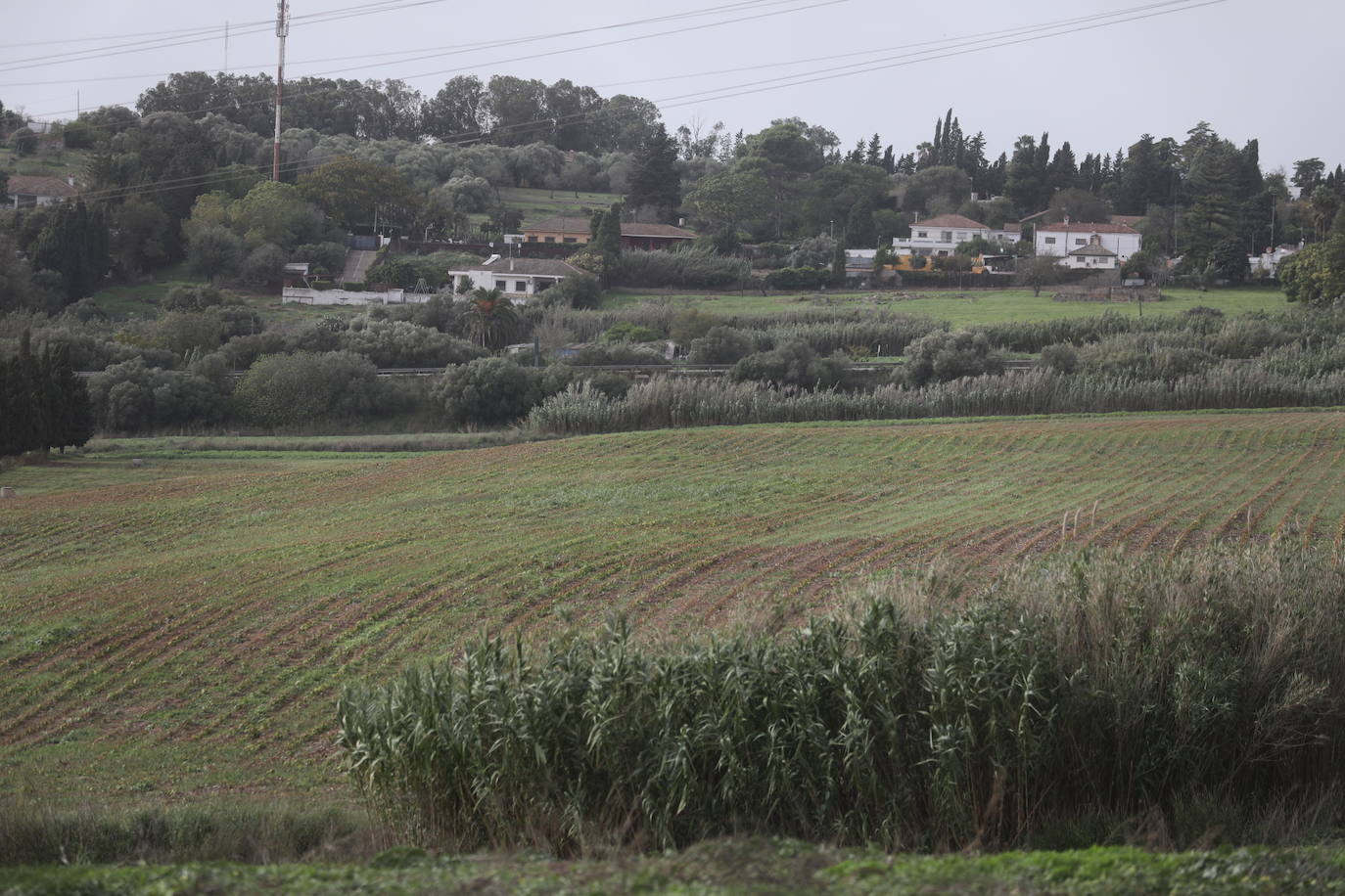 Fotos: Los efectos de la DANA en Cádiz