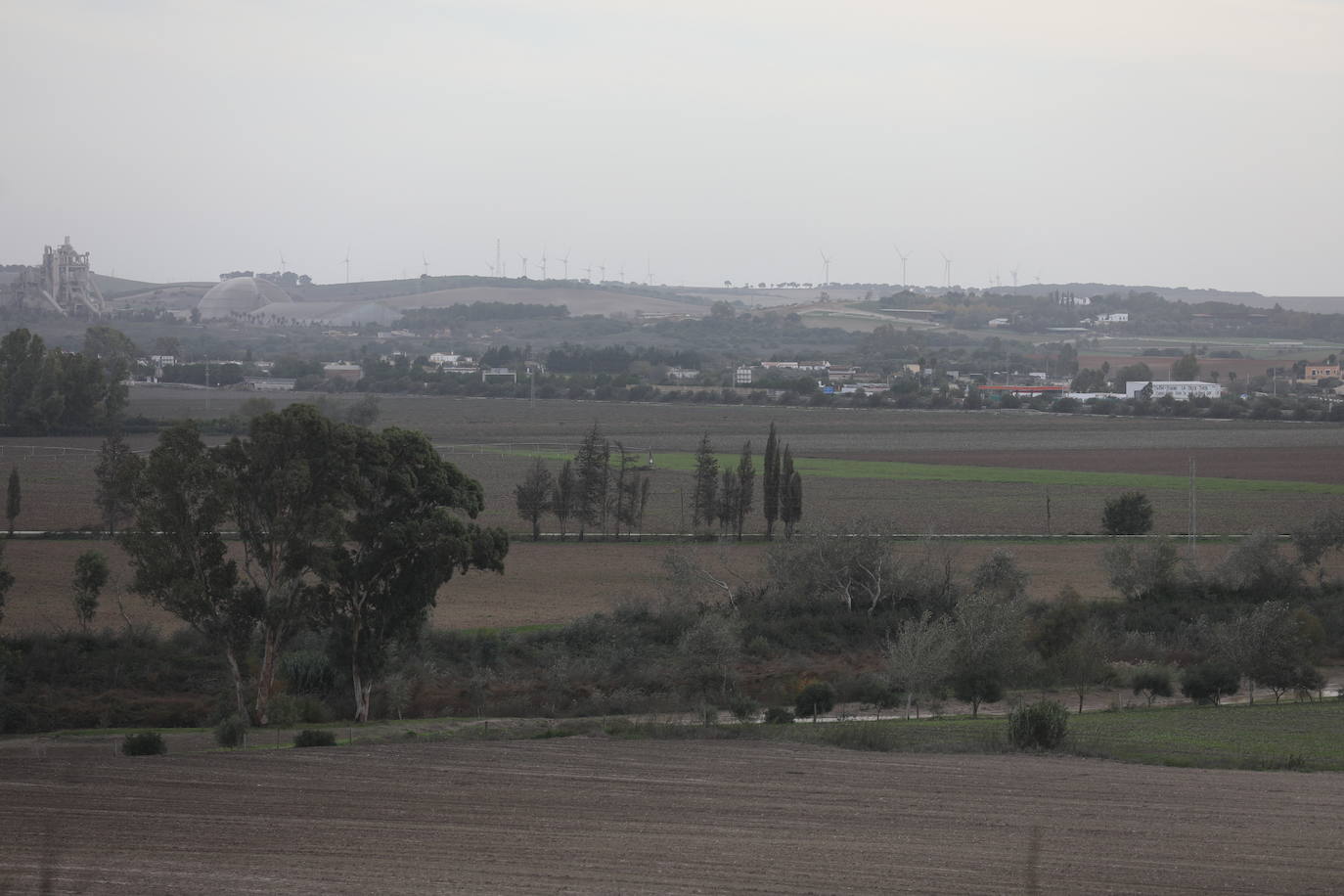 Fotos: Los efectos de la DANA en Cádiz