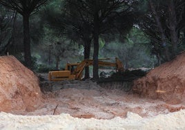 Fotos: Los efectos de la DANA en Cádiz