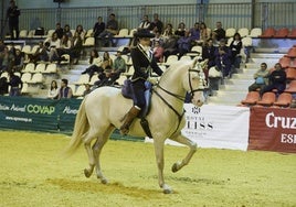 La Real Escuela de Arte Ecuestre de Jerez llevará su espectáculo al Salón Internacional del Caballo en Sevilla