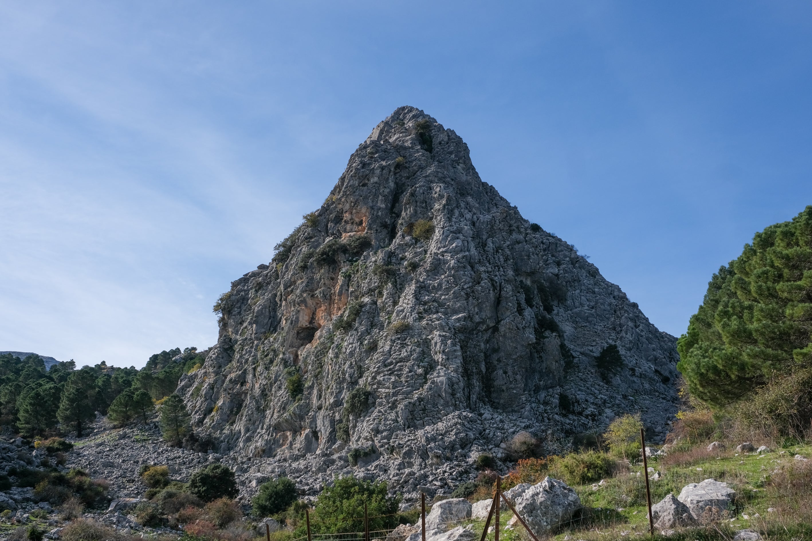 Fotos: Ambiente en la Sierra de Cádiz durante el puente de diciembre