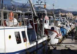 Los pescadores de Sanlúcar esperan un recorte «menos brusco» de la cuota del boquerón