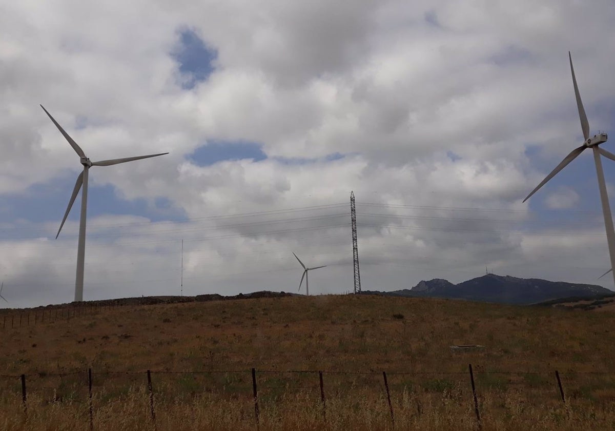 Molinos de viento en la N-340, en Tarifa