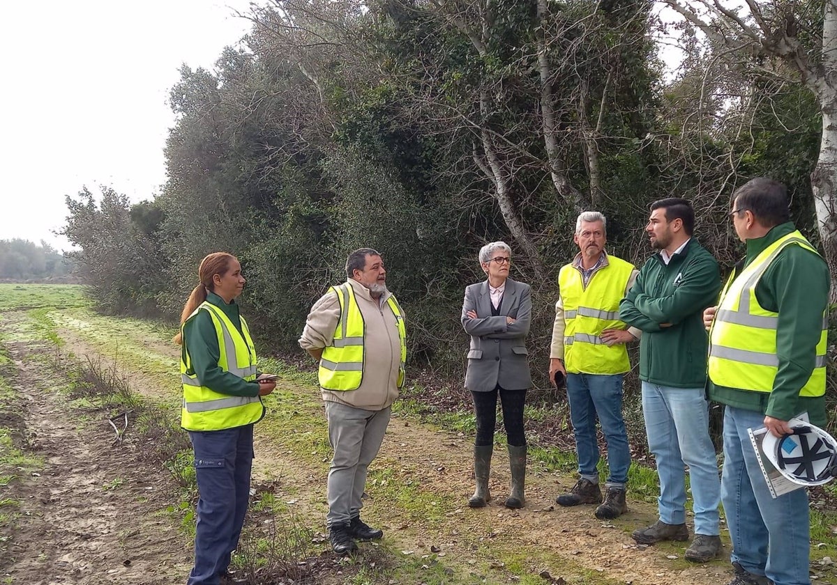 La Junta invierte 168.000 euros en obras de restauración en la zona perimetral del embalse de Arcos